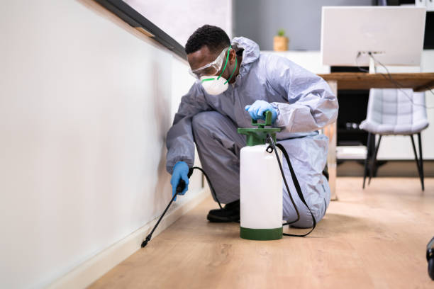 Best Pest Control for Multi-Family Homes  in Senath, MO